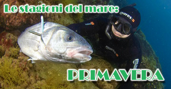 La pesca in mare in primavera